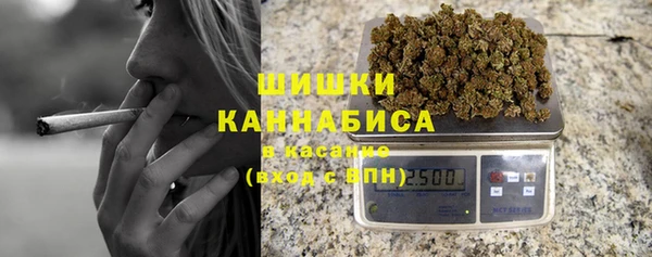 PSILOCYBIN Ветлуга