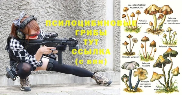 тгк Осташков