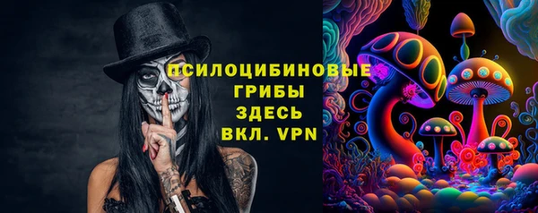 тгк Осташков