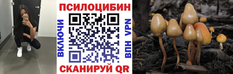 KRAKEN ONION  Кондрово  Галлюциногенные грибы MAGIC MUSHROOMS 